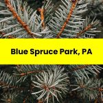 Blue Spruce Park, PA