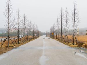 Asphalt Temperature Effects in Winter: Why Cold Weather Causes Cracks