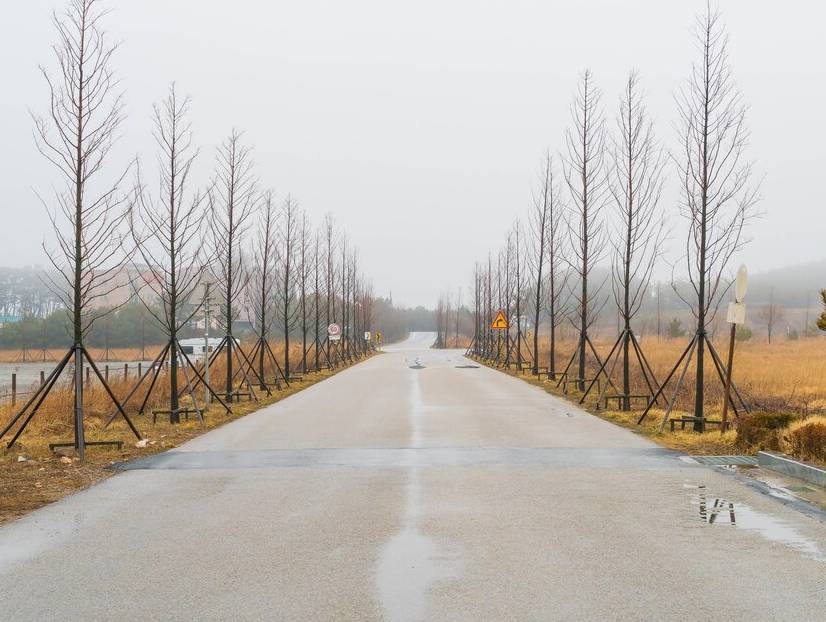 Asphalt Temperature Effects in Winter: Why Cold Weather Causes Cracks